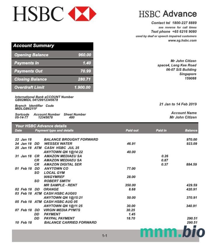 Szablon wyciągu bankowego Singapore DBS w formacie Word i PDF, 2 strony